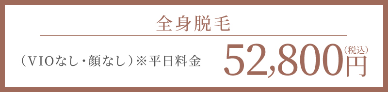 全身脱毛（VIOなし・顔なし）※平日限定