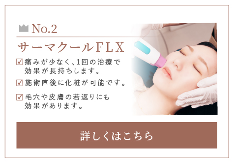 サーマクールFLX