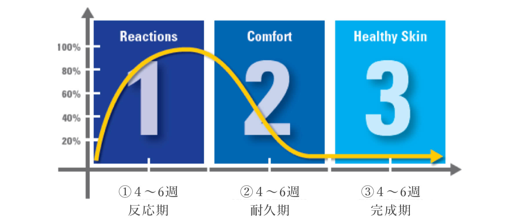 美しく健やかな肌に導く3つのプロセス