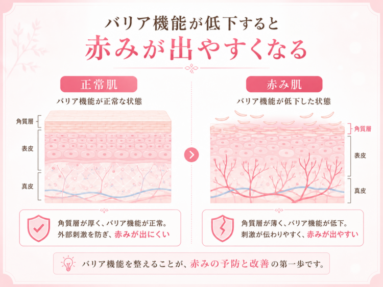 赤みの基本